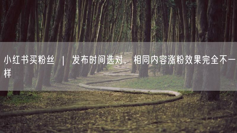小红书买粉丝 ｜ 发布时间选对，相同内容涨粉效果完全不一样