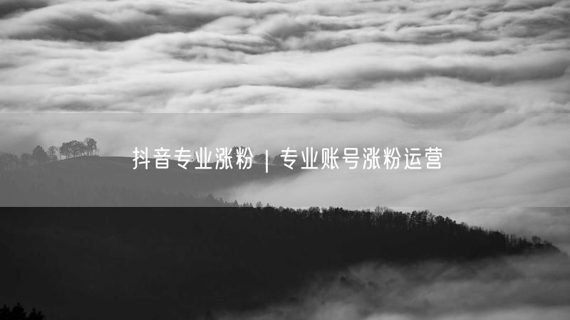 抖音专业涨粉｜专业账号涨粉运营